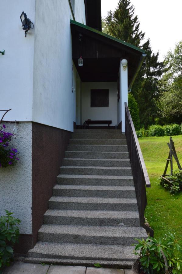 Horsky Apartman Pod Zelenou Strechou Bartosovice v Orlickych Horach Экстерьер фото